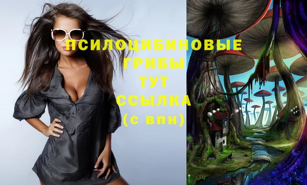 MDMA Premium VHQ Белокуриха