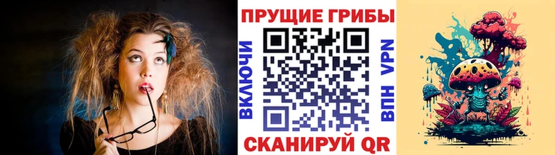 omg ССЫЛКА  Светогорск  это официальный сайт  Псилоцибиновые грибы Psilocybe 