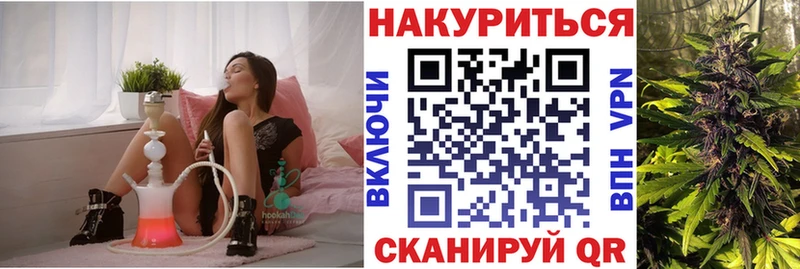 Шишки марихуана конопля магазин наркотиков Светогорск
